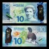 buy undetectable NZD 10 dollars online